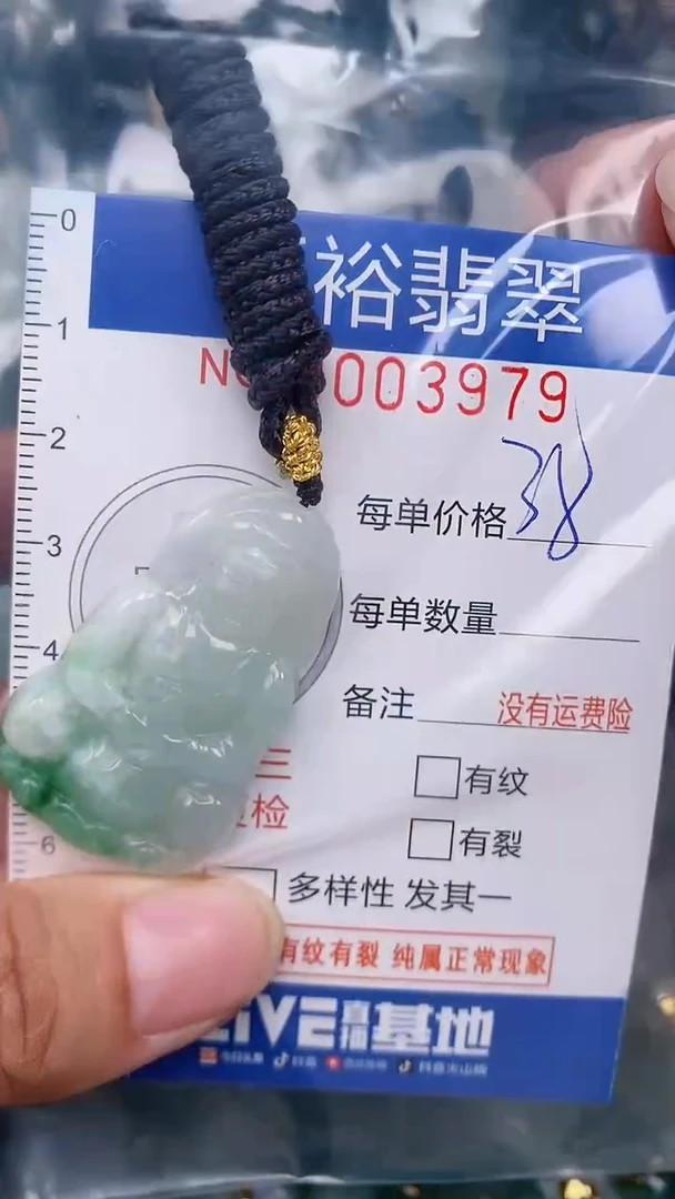翡翠未镶嵌颈饰...0003979