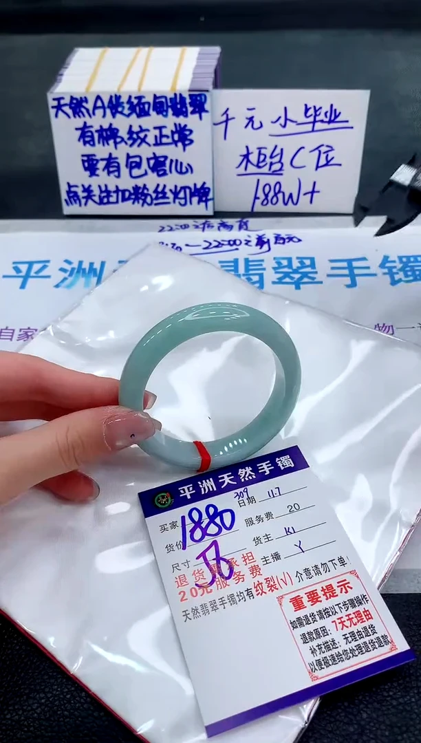 未镶嵌手镯翡翠1