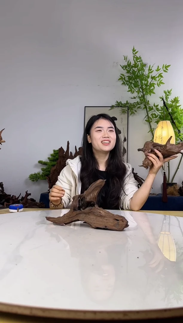 抖****3拍沉木定向链接编号54