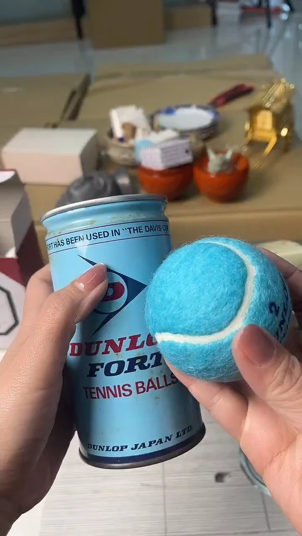 中古杂项默认微瑕，满18包邮 2只