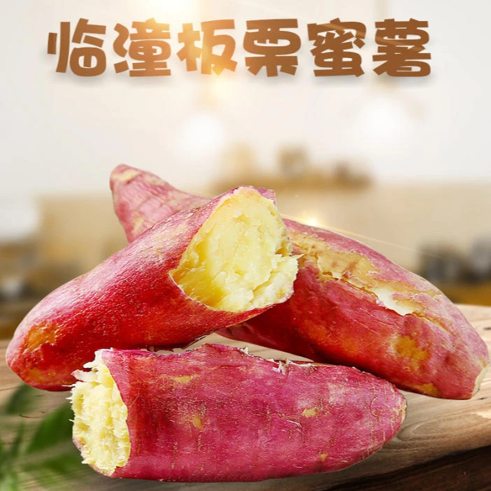 陕西当季正宗板栗红薯现挖新鲜红皮黄心临潼地瓜番薯蜜薯沙地香薯