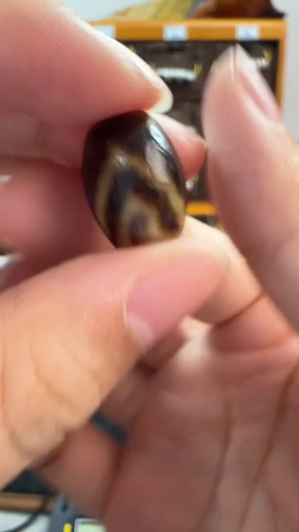 玛瑙/玉髓（覆膜）颈饰未镶嵌88.（微瑕随机发货）