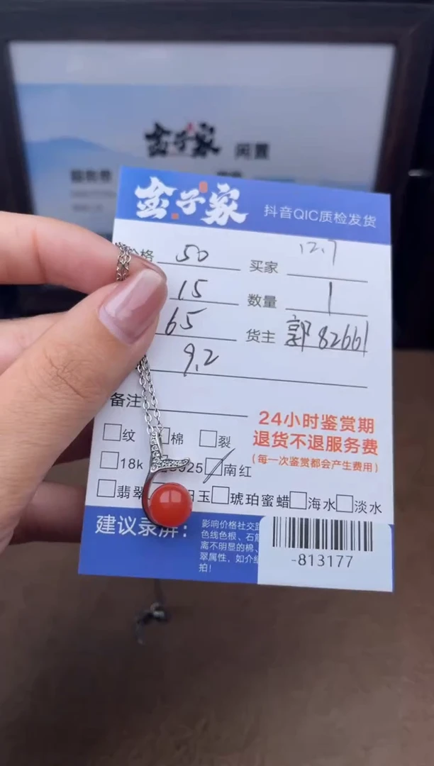 颈饰银S925镶嵌南红玛瑙多人-813177