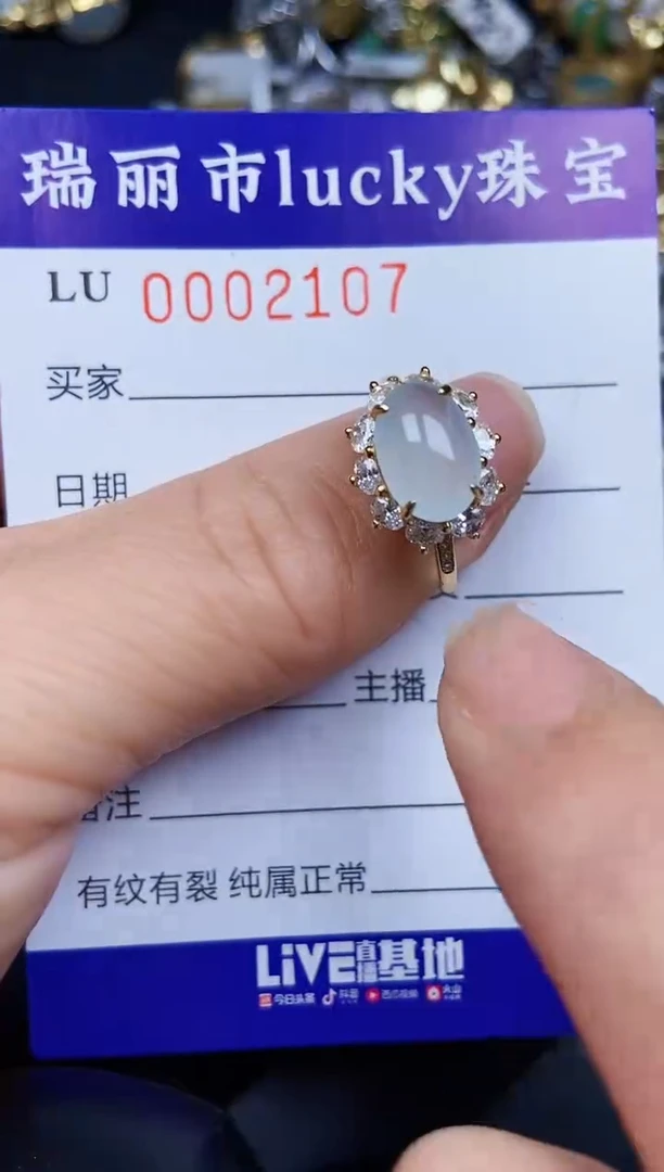 翡翠银S925镶嵌颈饰2107