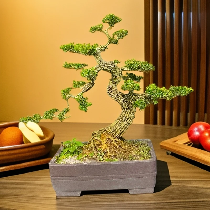 广东皱皮黄荆雀舌黄杨盆景