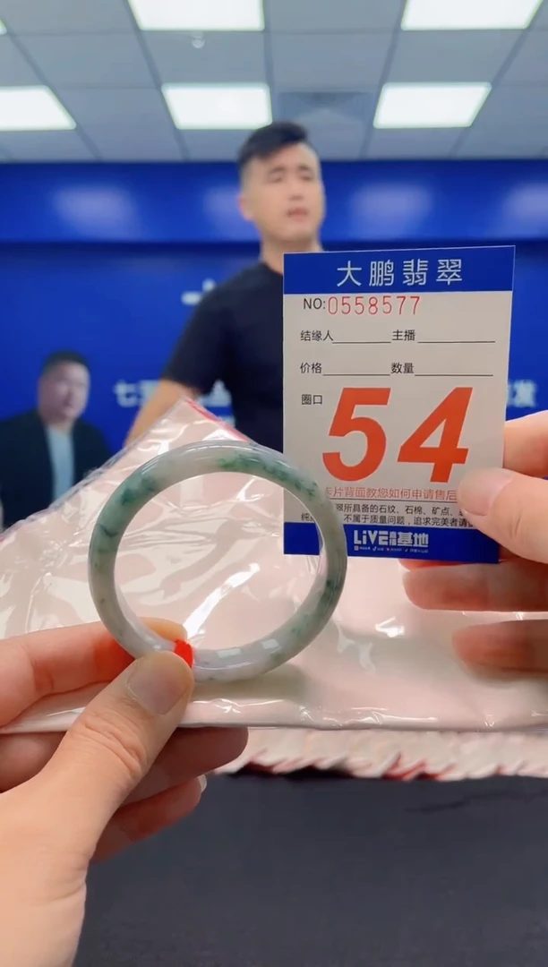 未镶嵌手镯翡翠AAAAAAAAA