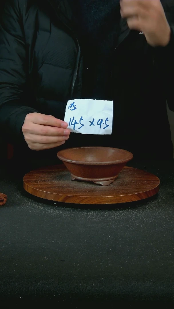 【闪购商品】紫砂V7