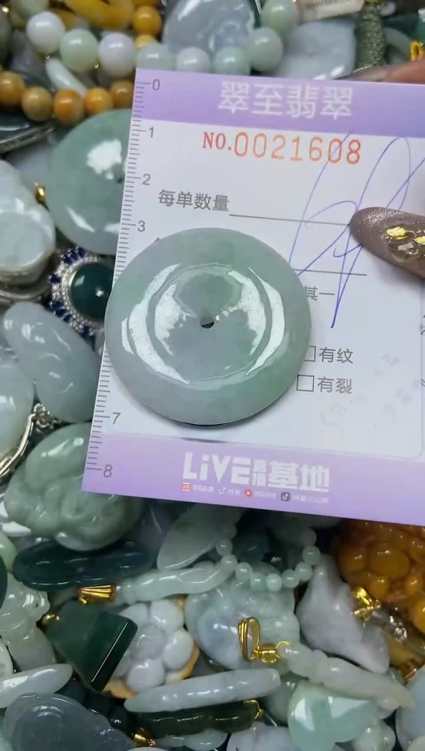 【闪购商品】翡翠颈饰未镶嵌闪购0021608