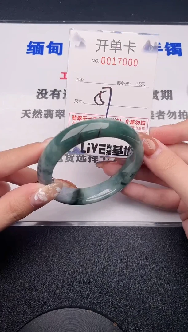 未镶嵌手镯翡翠00
