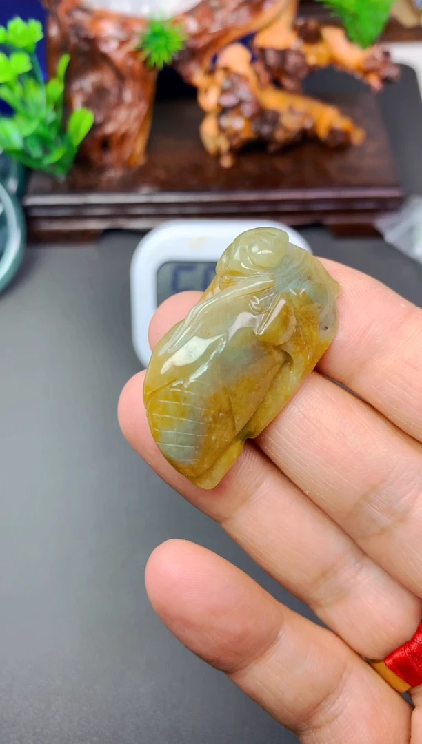 颈饰未镶嵌翡翠不**话玉米