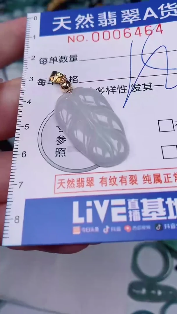 翡翠未镶嵌颈饰00006464