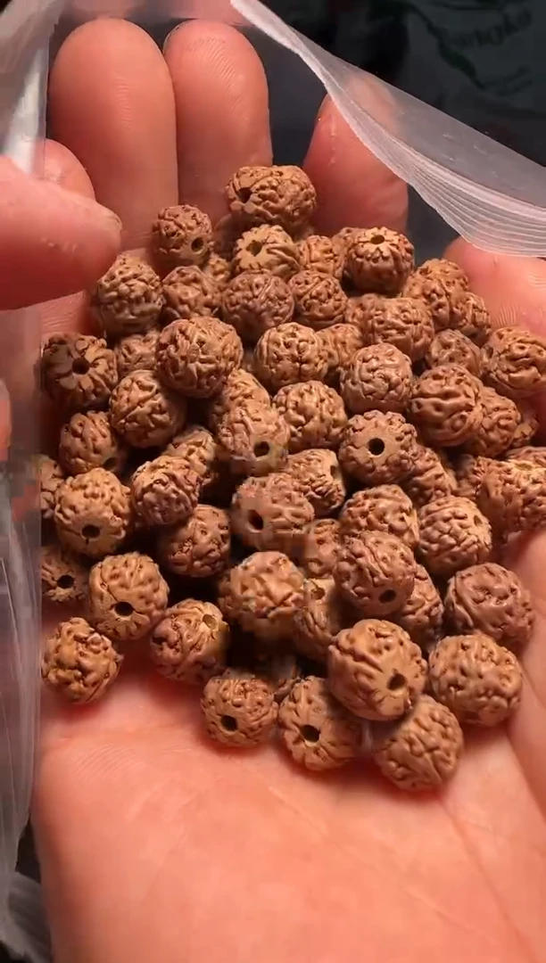手串金刚菩提非全品龙切一代龙散籽8-9mm一份一百颗