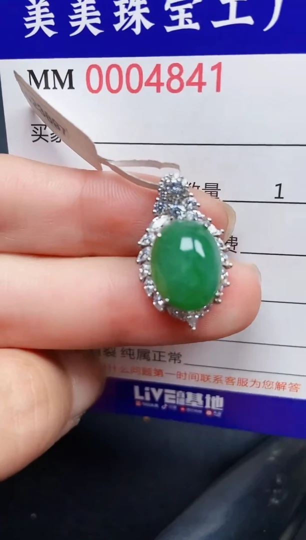 翡翠银S925镶嵌颈饰4841