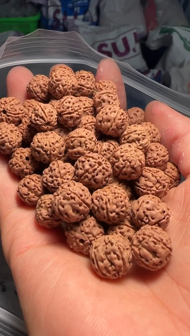 手串金刚菩提非全品老树梅花散籽12-13mm一份一百颗