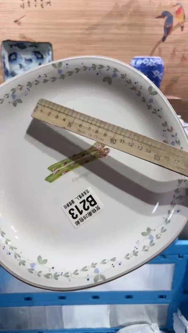 【闪购商品】瓷片当天满28米包邮B213