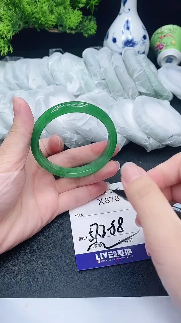 未镶嵌手镯翡翠878