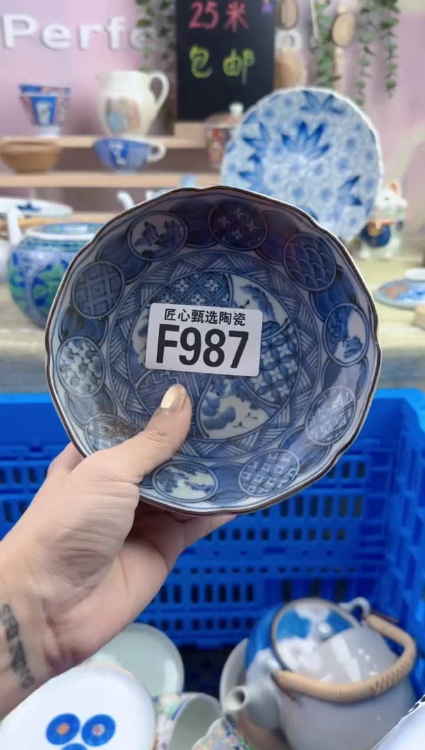 瓷片       F987