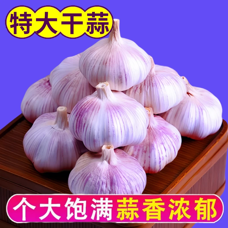 2025年新干白皮大蒜山东大蒜头大果特大果辛辣味十足手工挑选可种