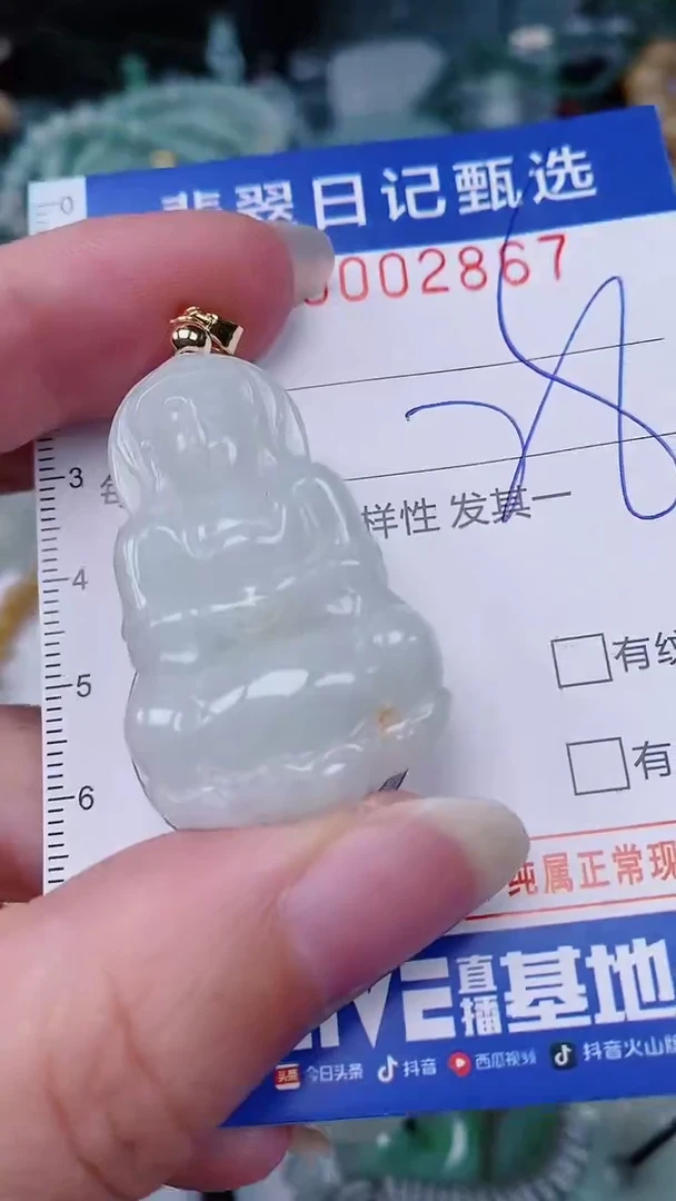 翡翠未镶嵌颈饰00002867