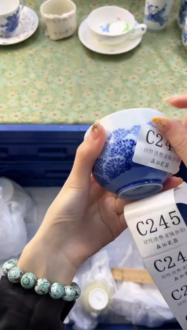 【闪购商品】瓷片          C244