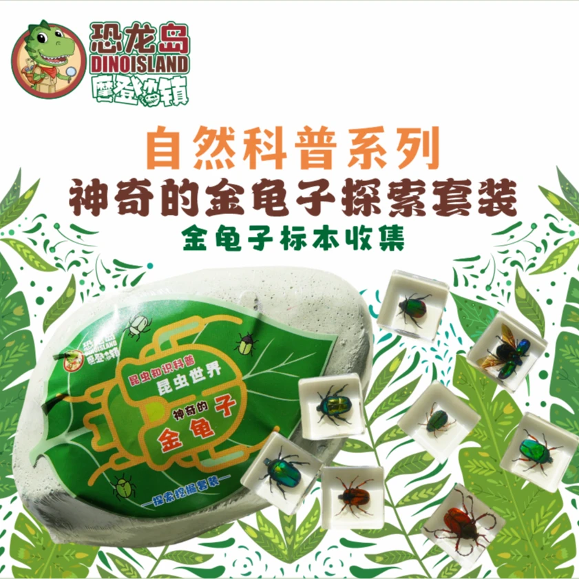 神奇金龟子探索挖掘套装益智科普标本系列自然启蒙认知送礼户外