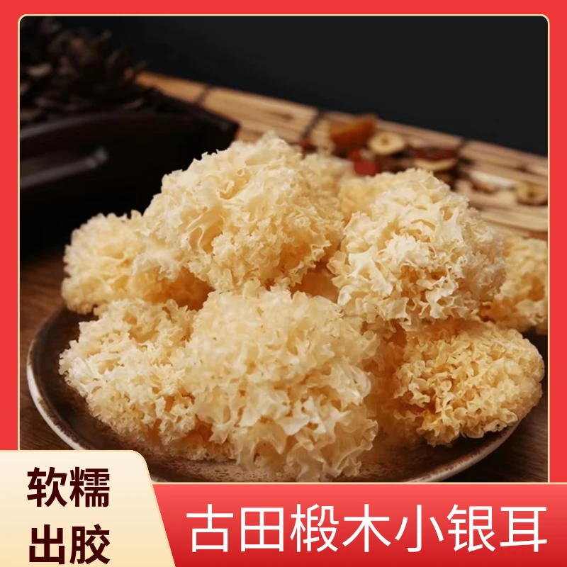 椴木小银耳新货软糯易出胶易煮雪耳古田干货