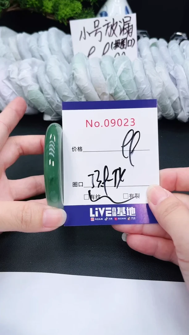 未镶嵌手镯翡翠9023