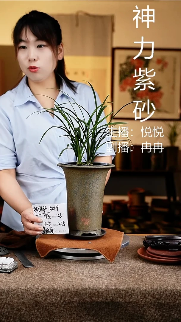 紫砂花盆花卉工艺5019+z