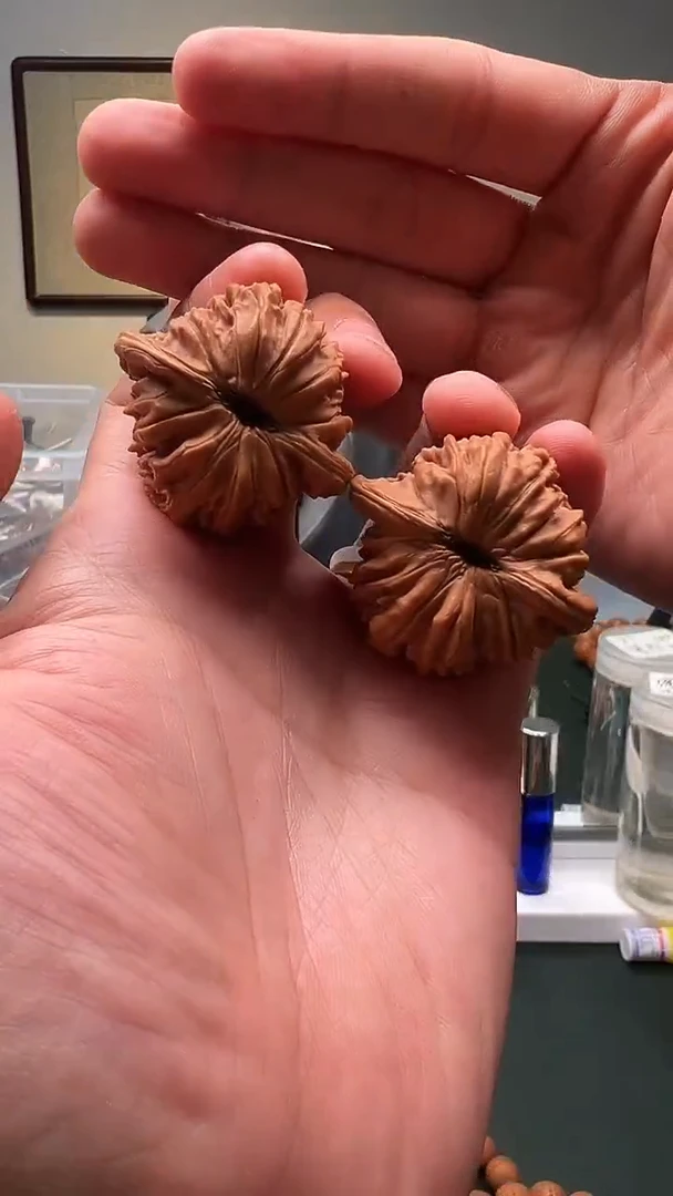 文玩核桃把件40mm左右 野楼1对 19号