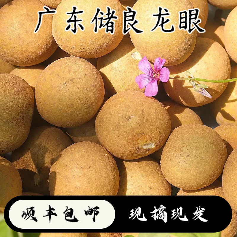 【储良龙眼】高州新鲜储良龙眼果肉厚正宗广东龙眼当季时令水果桂圆