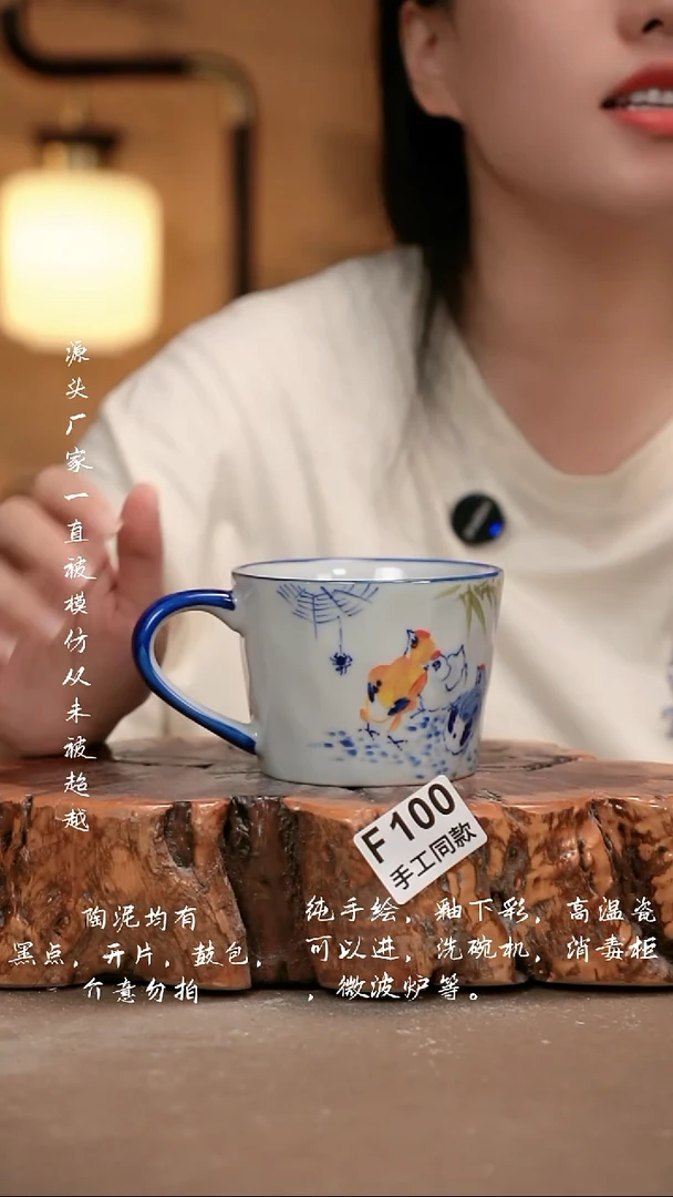 其他F100 新十二器