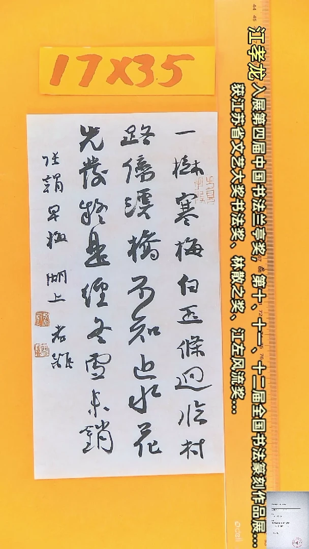 【闪购商品】书法江孝龙书法作品早梅17*35