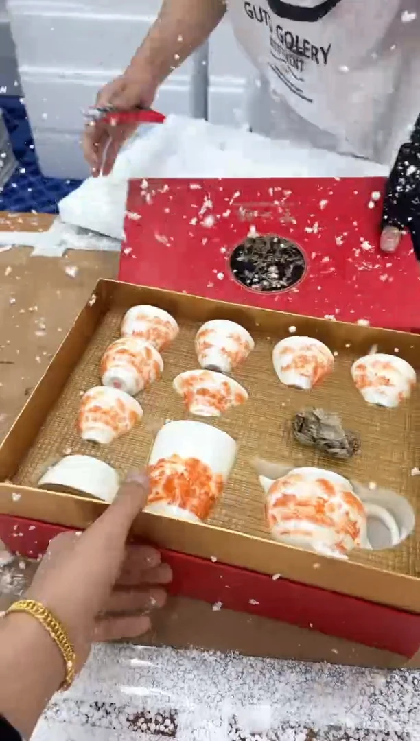 1物道茶器商品链接@@@@@@@@@