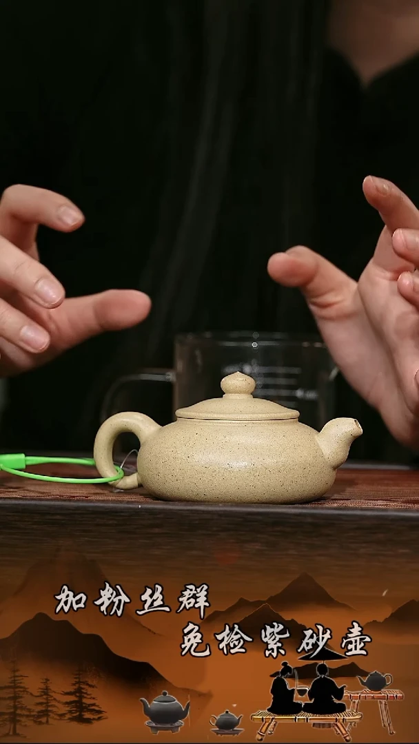 茶壶紫砂原矿紫砂壶  孤影