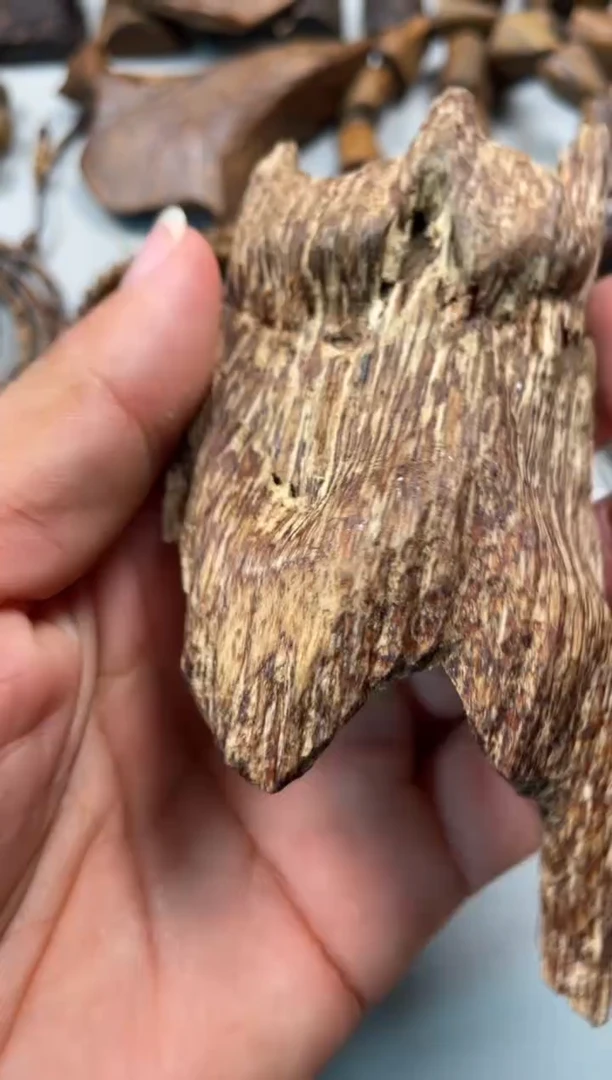 沉香碎屑沉香 越南芽庄 越南芽庄