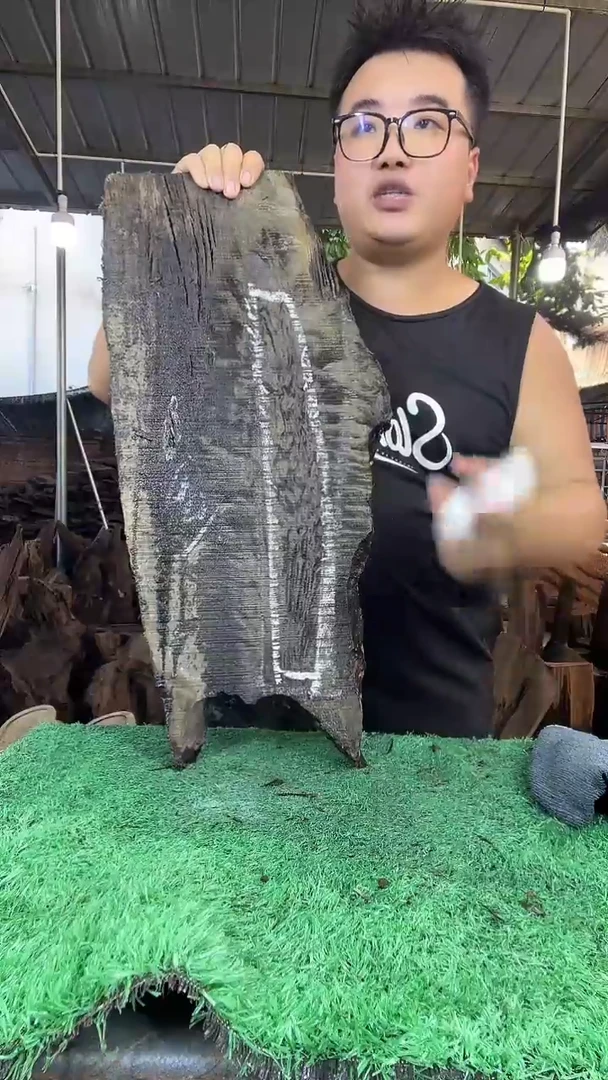 金丝楠小叶桢楠177