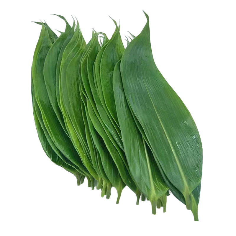 绿心箬叶8-9cm100片修剪粽子叶寿司美食包裹摆盘装饰真空包装竹叶