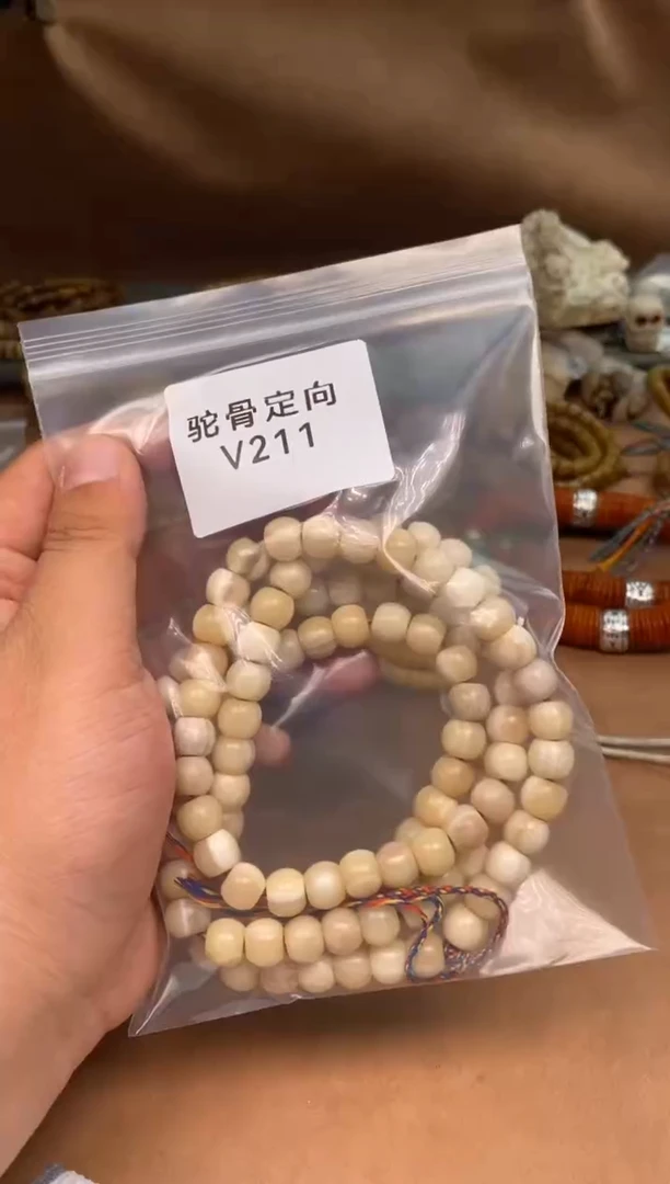 其他驼骨驼骨定向V211