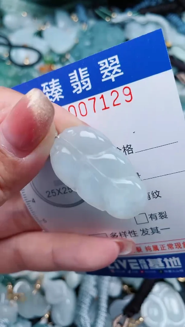 【闪购商品】翡翠颈饰未镶嵌.0007129