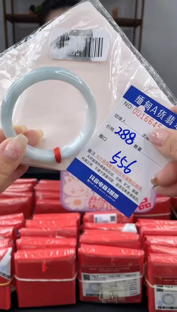 未镶嵌手镯翡翠