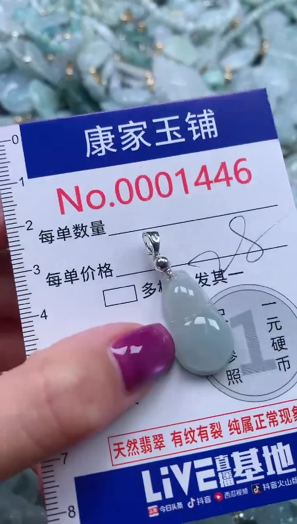 颈饰未镶嵌翡翠1446