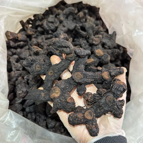 广东河源客家下山野生货250g/500g