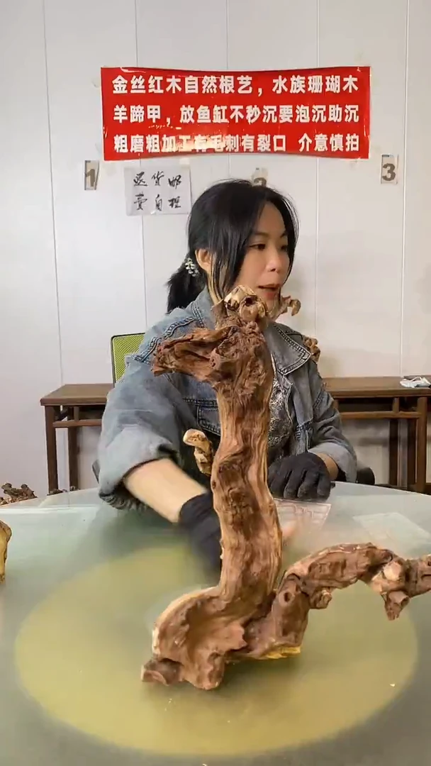 木老****?金丝红木 羊蹄甲