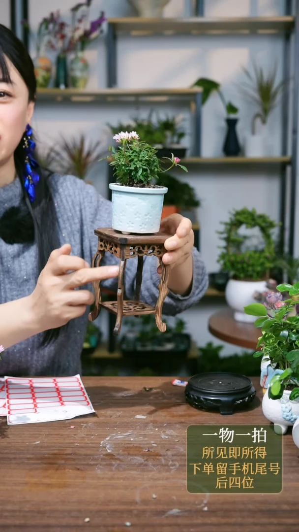 【闪购商品】91---2649海马几