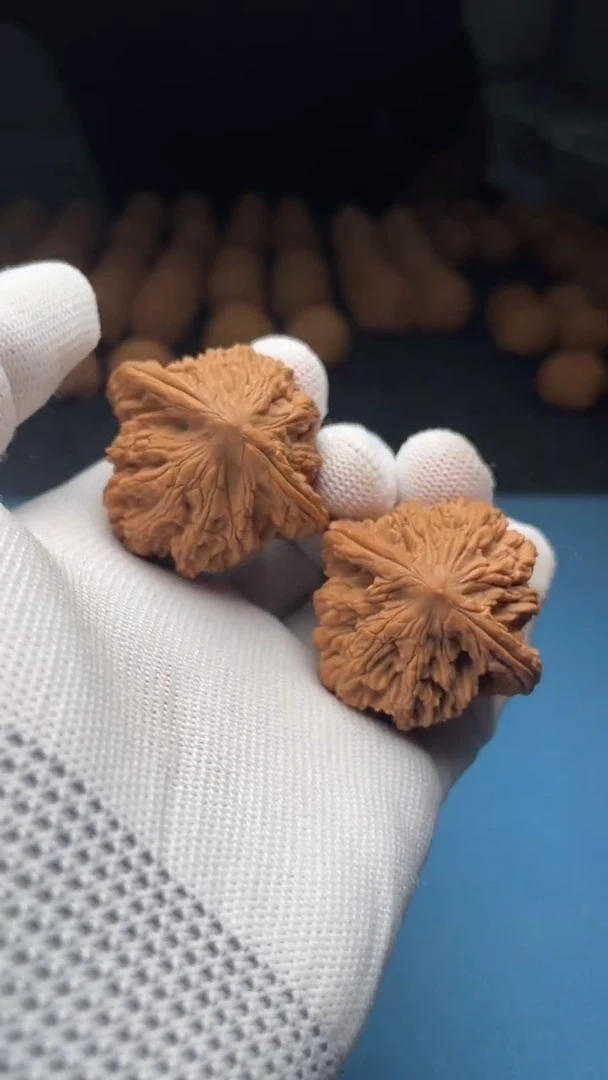 桃核把件a42  麦虎 42尺