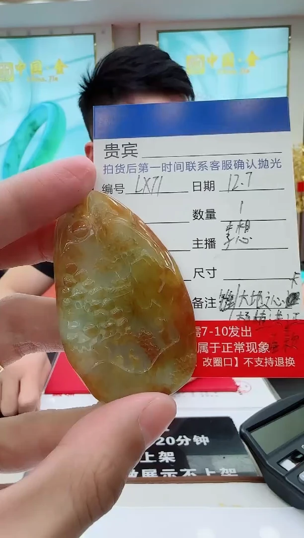 未镶嵌定制翡翠LX71翡翠吊坠赠珠链-多样性发其一