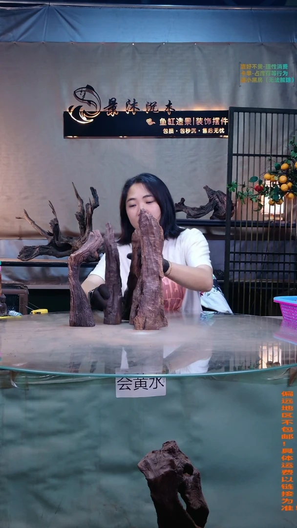 摆件景沐沉木A996景沐沉木A996