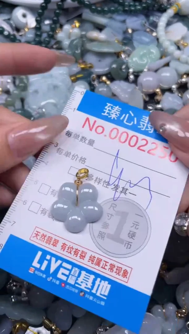 颈饰未镶嵌翡翠2250