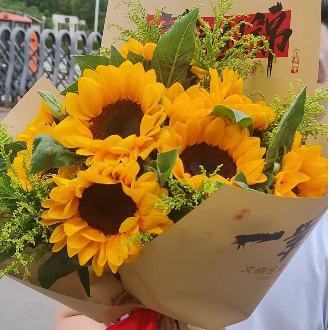 《春不晚向日葵》鲜花向日葵云南基地直发中考毕业季花束