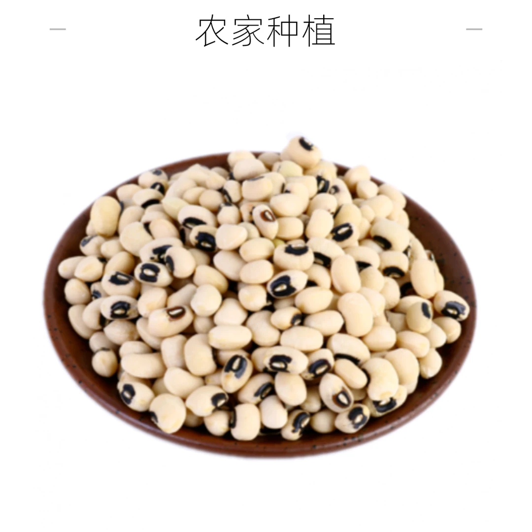 白眉豆（婆夹豆，农户坡田地种植）